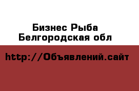 Бизнес Рыба. Белгородская обл.